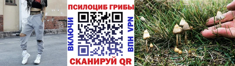 мега ТОР  Балаково  Галлюциногенные грибы GOLDEN TEACHER  наркотики 